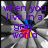 A four- shows a gray radial background with purple text and a central colorful flower-like shape, where the top-right 's text changes from "add some color" to empty