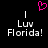 Pixelated text 'Luv Florida!' appears twice on a black background with a pink heart symbol above, each instance flanked by vertical white lines.