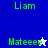 Pixelated green text 'Liam' and 'Mateee' with star icons on blue, white, and purple backgrounds.