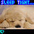 A golden retriever puppy with closed eyes and paws covering its face appears in a of , each displaying 'SLEEP TIGHT...' text above it