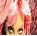 Pixelated static icon showing a close-up of two eyes with pink and red tones, likely from a celebrity or character reference.