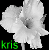 A grayscale flower icon with green text 'kris' appears in three vertical , showing animation changes across frames