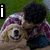 A person in a purple and white striped shirt hugs a golden retriever on grass, with text overlays changing across frames.