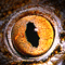 A sequence of animated frames showing a golden-brown eye with black pupil and white sclera, transitioning through various states including full opening, partial closure, and bright flash effects.