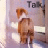 A small dog with brown and white fur stands facing away from the viewer, positioned in front of a light purple background with partial text visible.