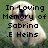 Pixelated image of a light-colored dog with a dark nose and mouth, overlaid with black text reading "In Loving Memory of Sabrina .E Heins" on a green background.