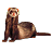 Pixelated static image of a ferret lying on its side with upright head, brown and tan fur, orange nose, black eyes, and white paws against gray background.