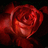 A pixelated red rose on a black background with red text reading 'Someone you didn't even know existed Loves you!' in four lines.