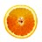 Circular orange fruit slice with yellow rind and brown seed center, rendered in pixelated style on white background.