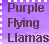 Static pixel art image with purple gradient background bordered by white squares, displaying three lines of brown text reading "Purple Flying Llamas".