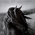 Black-and-white animated icon shows a figure with long hair in motion against a blurred background, transitioning from left to right