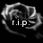 Six grayscale roses with overlaid text on a black background, each rose displaying different phrases.