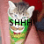 A cat's face peeks from a green and white striped container with text overlays changing across frames.
