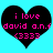Two identical black heart-shaped icons with pink text on a cyan background, each displaying 'i love david a.n.f (333)' in pixelated font.