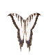 Six butterfly-shaped icons arranged in two on a gray background, each with distinct wing patterns and color variations
