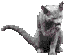 A grayscale animated sequence of a small animal with large ears and a long tail, shown in across three