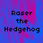 Pixelated text 'Raser the Hedgehog' on a blue and pink gradient background with a gray rectangular overlay.