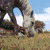 six distinct pixelated images featuring animals and text, including rhinos, horses, a rainbow, and zebra stripes with pink text