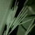 Pixelated image split into two sections: left shows green fabric-like texture, right displays purple background with bold white text "TO THE LUMBER YARD!!!" in black-outlined blocks.