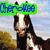 A horse with a white blaze on its face stands in front of a blurred background, with blue text labels appearing above or below it.