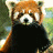 Pixelated red panda with brown fur and white facial markings stands against a blurred green background, next to bright green text on dark green.