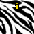 Black and white zebra stripes background with yellow text 'i love youu' appearing sequentially across four