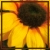 A static pixelated image of a figure in yellow clothing with dark hair, set against warm orange and brown tones within a square frame.