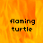 A static image of a flaming turtle with pixelated text on an orange flame background.