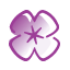 Purple flower-shaped icon with four rounded petals and a star-like center on white background.