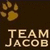 Pixelated icon with golden paw print above 'TEAM JACOB' text on dark brown background.