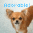 Pixelated image of a brown dog with large ears and dark eyes, positioned below blue text reading "Adorable!" on a light gray background.