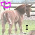 nine shows a brown horse in a grassy field with a wooden fence, each containing text and a pink heart symbol