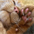 Animals icons for AIM, MSN, MySpace and Yahoo