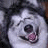 iconhell_xlostxkissx_freakin