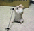 Pixelated image of a light-colored hamster-like figure holding a microphone, standing on a pale surface with a brown background.