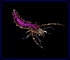 Animated insect-like creature with purple segmented body and brown limbs against black background.