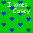 Green background with scattered blue pixelated hearts and repeated text "I loves Casey" in white pixelated font.
