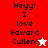 Red and white pixelated text displays 'Heyy! I love Edward Cullen!' with a white star on red and a red star on white backgrounds.