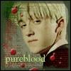 A static image shows a person with light-colored hair wearing a dark red garment with white collar, set against a background with red circular shapes and green foliage, with text reading 'pureblood' at the bottom.