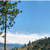 Pixelated landscape with a tall tree on the left, blue sky, white clouds, and a distant horizon line.