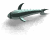 Animated sequence of a teal fish swimming left to right across white background with subtle shadow.