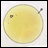 A contact sheet showing two frames of an animated buddy icon with a yellow circular shape on the left and pixelated text on the right.