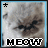 iconhell_sexeyforlyfe_meow