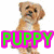 A four- of dog images with overlaid text: top-left puppy, top-right love, bottom-left <3!, bottom-right empty