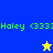 Blue and yellow pixelated background with green text 'Haley <333' and a star symbol changing from yellow to blue.