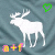Animated white moose silhouette on gray background with changing heart symbols above and static text below.