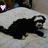 Animated icon of a black and white animal lying on a light surface with a pink heart in the top-left corner.