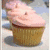 A cupcake with pink frosting and a single dot on top appears in the upper-left corner, surrounded by repeated text elements including "CUPCAKES," "ROX," and "MAH SOX" in bold black letters.