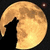 Animated sequence of a golden crescent moon with textured surface against black background, showing rotation and text change.