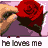 Animated contact sheet of a hand picking red rose petals with text "he loves me" below each frame, arranged in 4x4 grid on gray background.